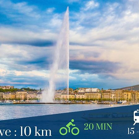 Homey Wild - Proche Gare Et Tram - Proche Centre - Balcon Prive - Parking Prive - Wifi Gratuit Annemasse Bagian luar foto