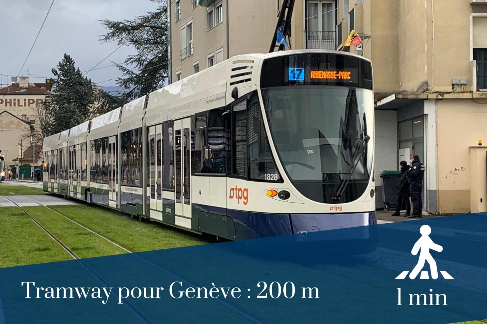 Homey Wild - Proche Gare Et Tram - Proche Centre - Balcon Prive - Parking Prive - Wifi Gratuit Annemasse Bagian luar foto